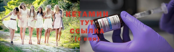прущие грибы Горно-Алтайск