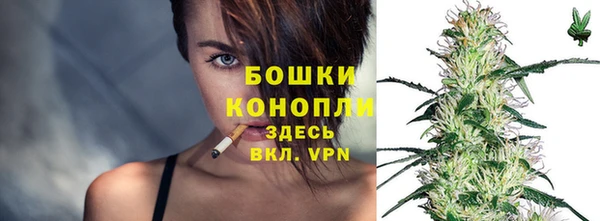прущие грибы Горно-Алтайск