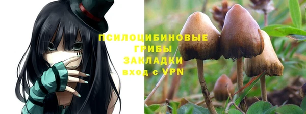 первитин Горняк