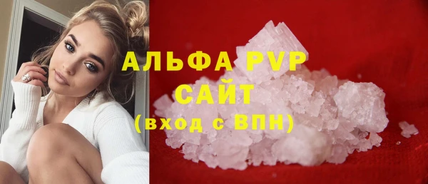 прущие грибы Горно-Алтайск