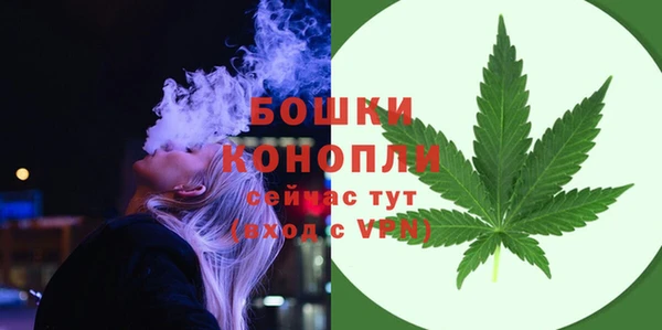 PSILOCYBIN Горнозаводск