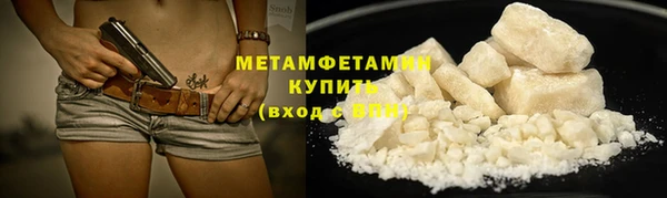 прущие грибы Горно-Алтайск