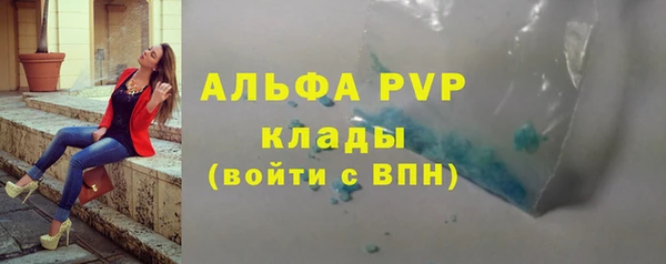 PSILOCYBIN Горнозаводск