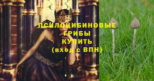 первитин Горняк