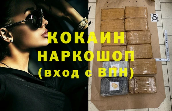 прущие грибы Горно-Алтайск