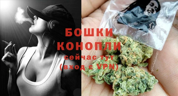 PSILOCYBIN Горнозаводск