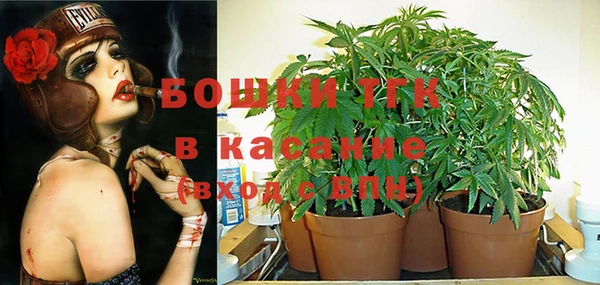 прущие грибы Горно-Алтайск