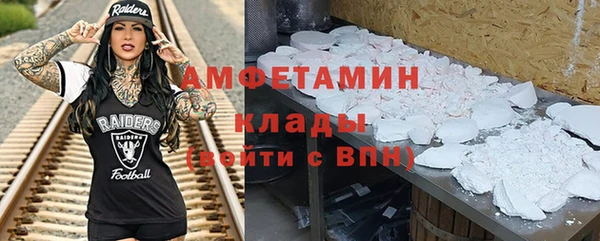 прущие грибы Горно-Алтайск