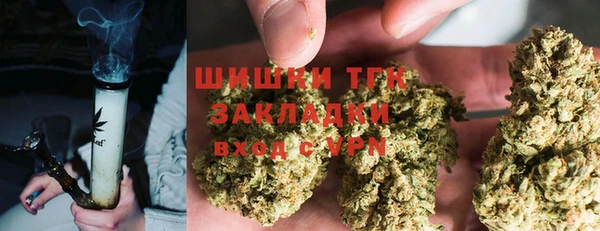 PSILOCYBIN Горнозаводск