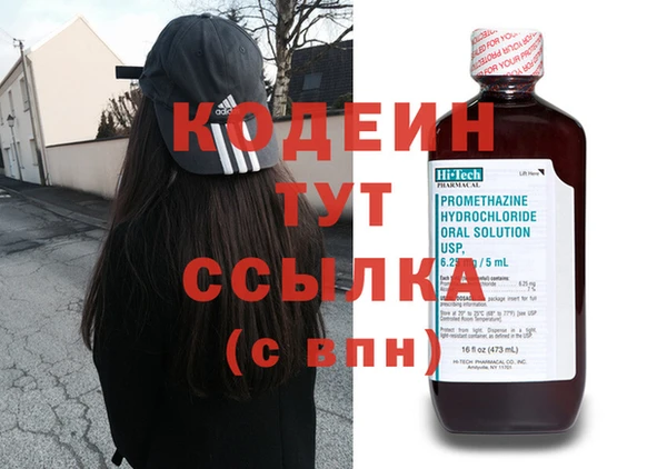 прущие грибы Горно-Алтайск
