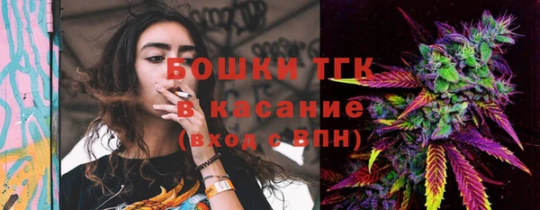 прущие грибы Горно-Алтайск