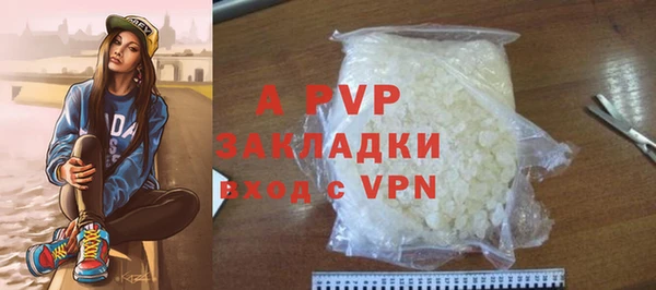 прущие грибы Горно-Алтайск