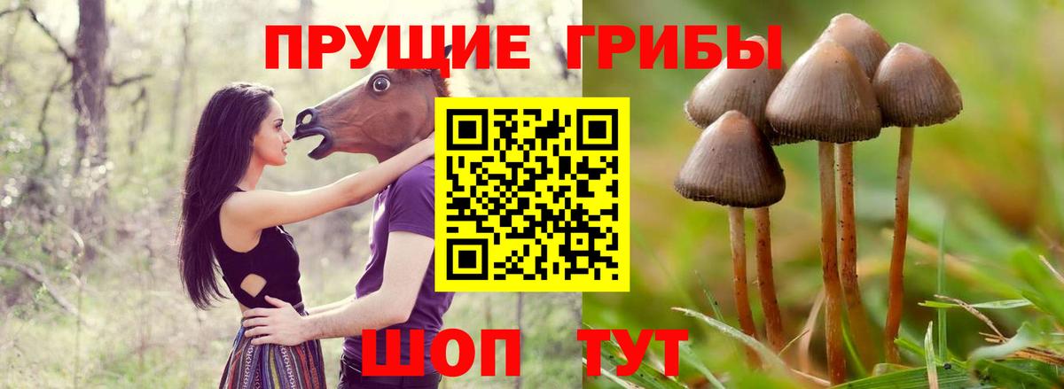 Псилоцибиновые грибы ЛСД  Псилоцибиновые грибы MAGIC MUSHROOMS  Можга  Вход с VPN 