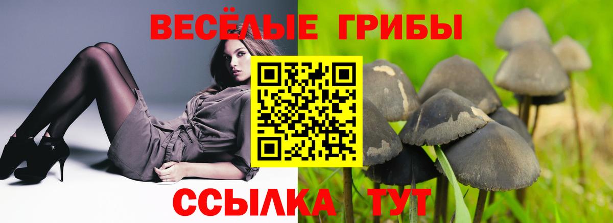 Псилоцибиновые грибы Magic Shrooms Можга