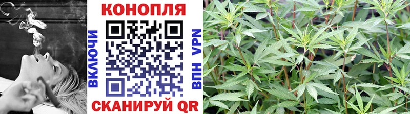 Конопля MAZAR где купить наркоту Можга